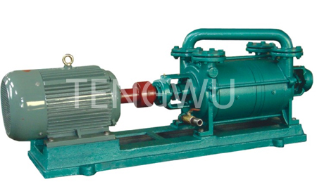水環(huán)式真空泵
